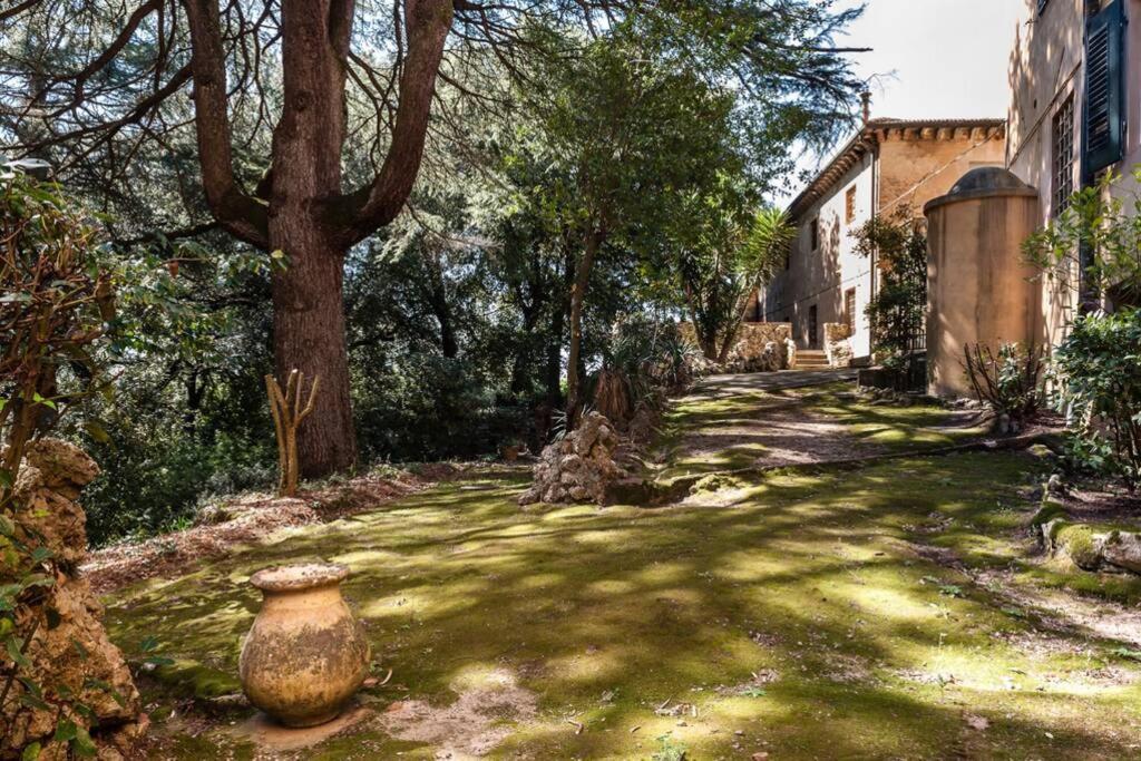 Villa Ott Crespina Exterior foto